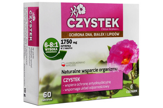 CZYSTEK 60 kapsułek