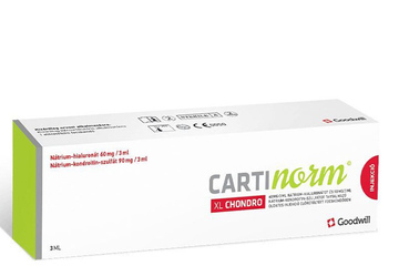 CARTINORM XL CHONDRO 60 mg/3 ml 1 ampułko-strzykawka